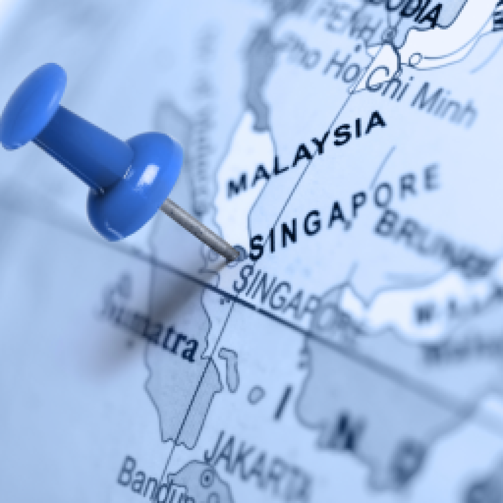 singapur-pin_sdesk - Kopie